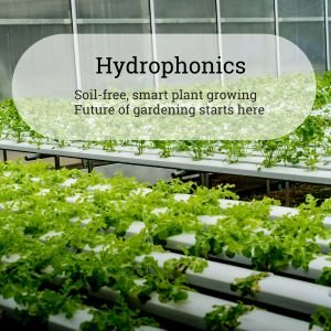 Hydrophonics