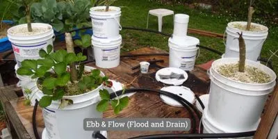 Image presenting Ebb and Flow(Flood & drain)