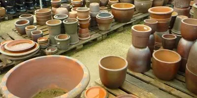 Terracota planters 