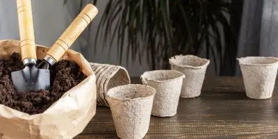 Eco friendly planters